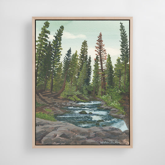 Lower McCloud Falls