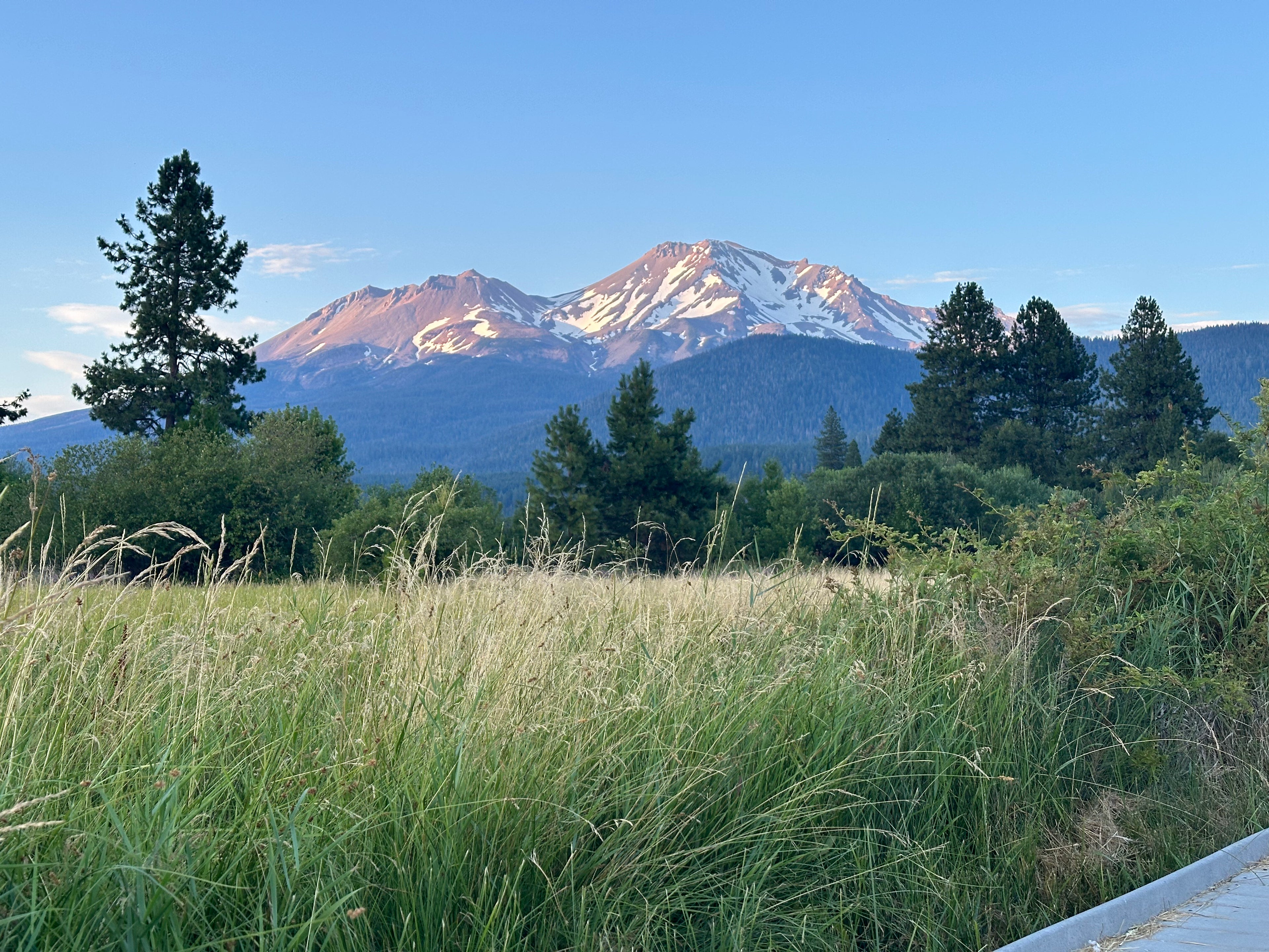 Scenic view of a mountain range with snow-capped peaks, trees, and grass in the foreground.